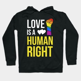Love is a Human Right Hoodie